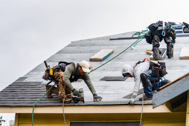 Professional Gutter Installation technician working in Industry, TX